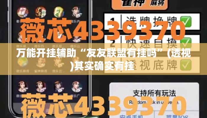 万能开挂辅助“友友联盟有挂吗”(透视)其实确实有挂 