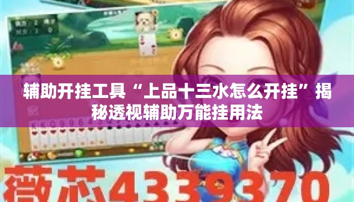 辅助开挂工具“上品十三水怎么开挂”揭秘透视辅助万能挂用法