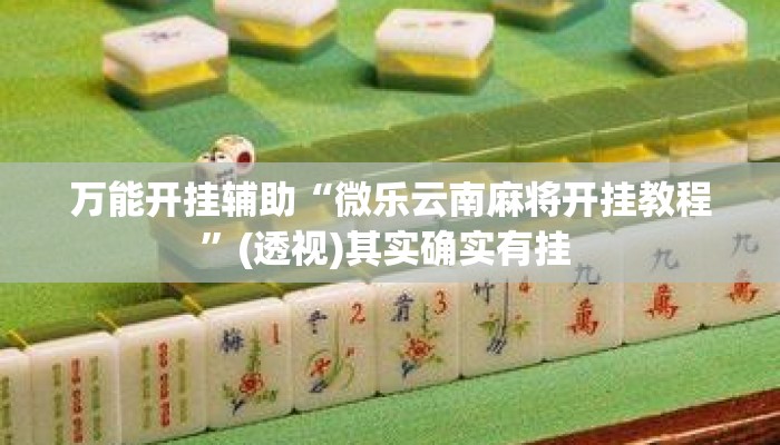 万能开挂辅助“微乐云南麻将开挂教程”(透视)其实确实有挂 