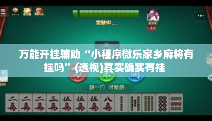 万能开挂辅助“小程序微乐家乡麻将有挂吗”(透视)其实确实有挂 