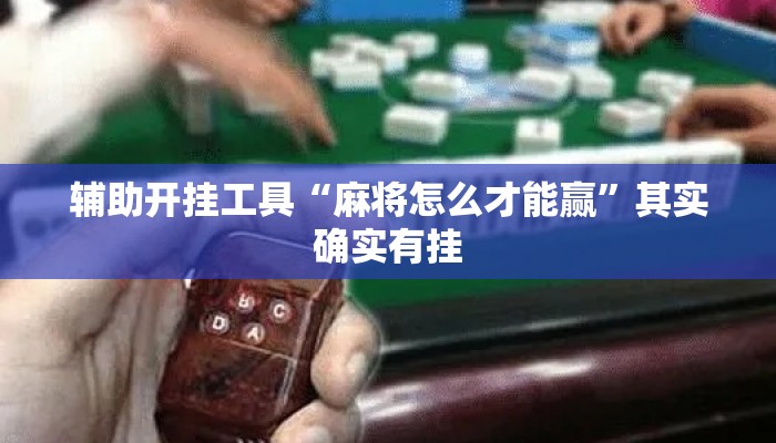 辅助开挂工具“麻将怎么才能赢”其实确实有挂