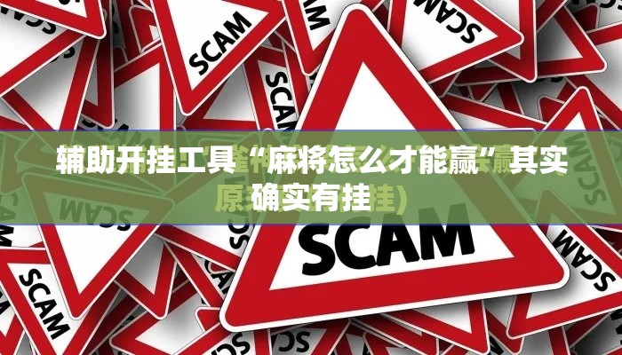 辅助开挂工具“麻将怎么才能赢”其实确实有挂