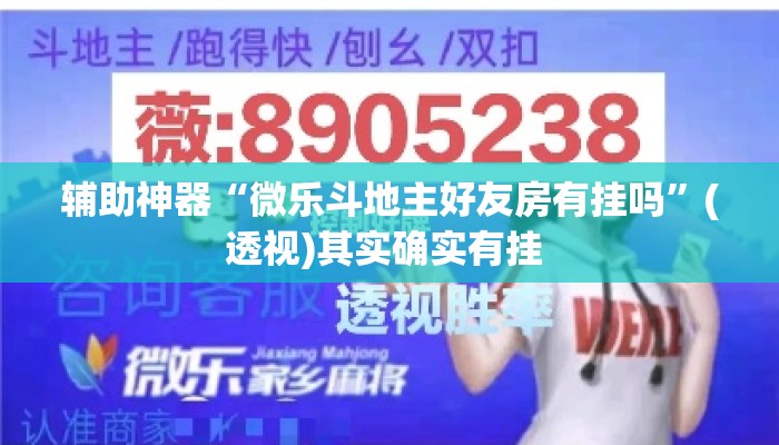 辅助神器“微乐斗地主好友房有挂吗”(透视)其实确实有挂 