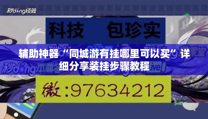 辅助神器“同城游有挂哪里可以买	”详细分享装挂步骤教程