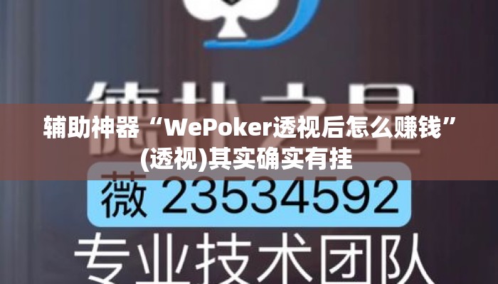 辅助神器“WePoker透视后怎么赚钱”(透视)其实确实有挂 