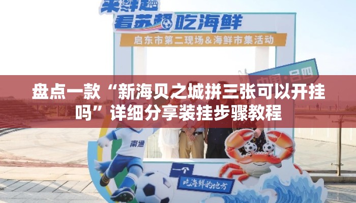 盘点一款“新海贝之城拼三张可以开挂吗”详细分享装挂步骤教程
