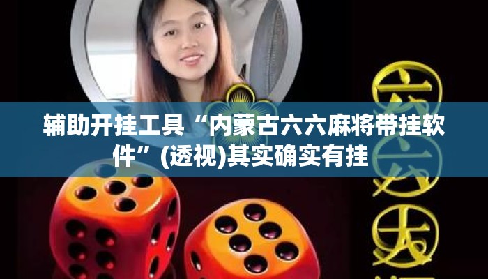 辅助开挂工具“内蒙古六六麻将带挂软件”(透视)其实确实有挂 