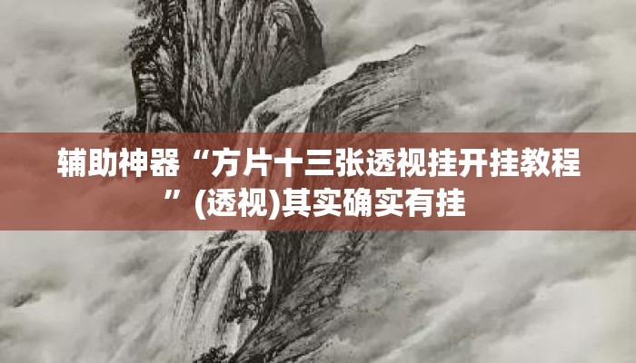 辅助神器“方片十三张透视挂开挂教程	”(透视)其实确实有挂 