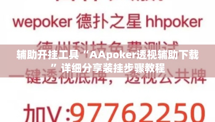 辅助开挂工具“AApoker透视辅助下载”详细分享装挂步骤教程