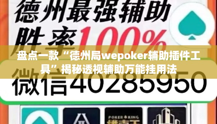 盘点一款“德州局wepoker辅助插件工具	”揭秘透视辅助万能挂用法