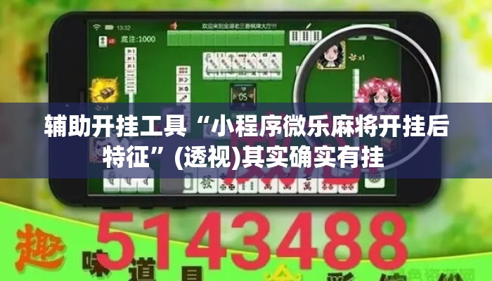 辅助开挂工具“小程序微乐麻将开挂后特征”(透视)其实确实有挂 