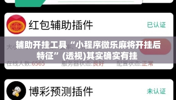辅助开挂工具“小程序微乐麻将开挂后特征”(透视)其实确实有挂 