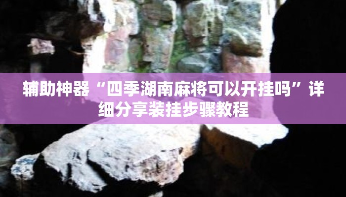 辅助神器“四季湖南麻将可以开挂吗”详细分享装挂步骤教程