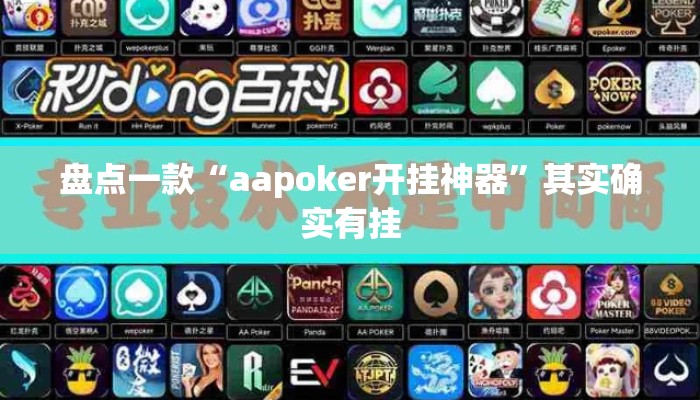盘点一款“aapoker开挂神器”其实确实有挂