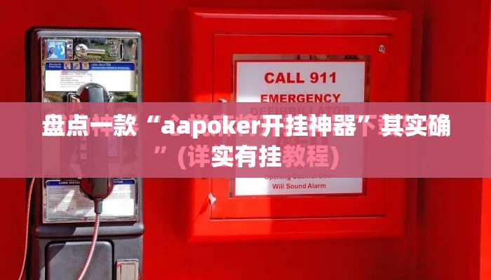 盘点一款“aapoker开挂神器	”其实确实有挂