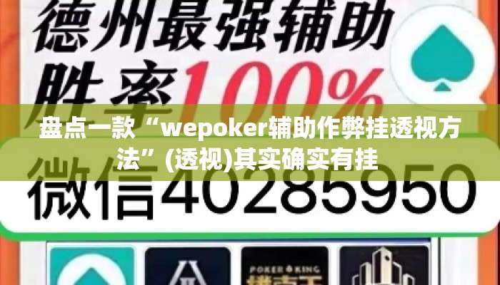 盘点一款“wepoker辅助作弊挂透视方法”(透视)其实确实有挂 