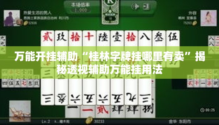 万能开挂辅助“桂林字牌挂哪里有卖”揭秘透视辅助万能挂用法