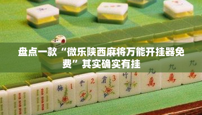 盘点一款“微乐陕西麻将万能开挂器免费”其实确实有挂