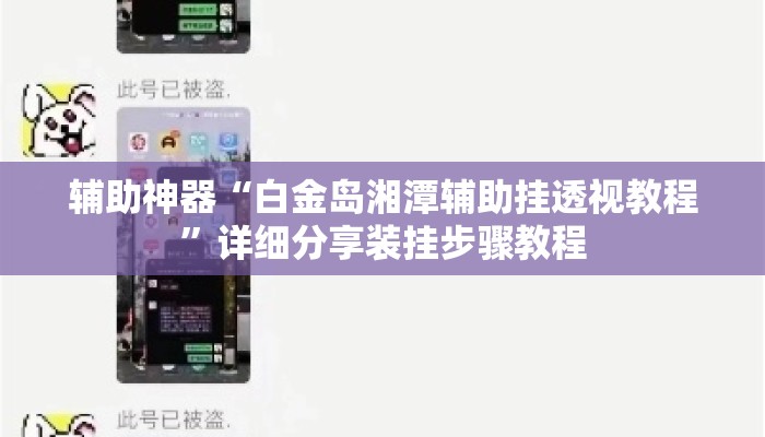 辅助神器“白金岛湘潭辅助挂透视教程”详细分享装挂步骤教程