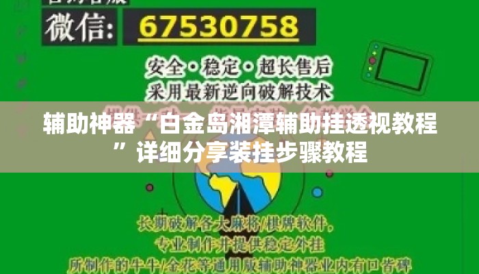 辅助神器“白金岛湘潭辅助挂透视教程”详细分享装挂步骤教程