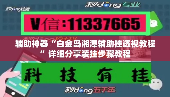 辅助神器“白金岛湘潭辅助挂透视教程	”详细分享装挂步骤教程