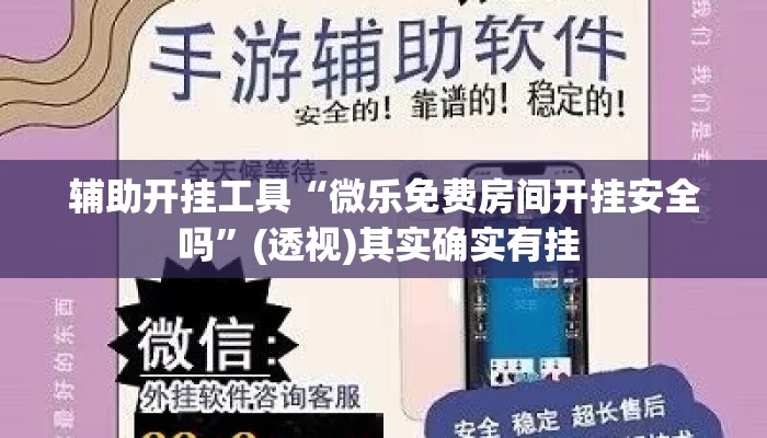辅助开挂工具“微乐免费房间开挂安全吗”(透视)其实确实有挂 