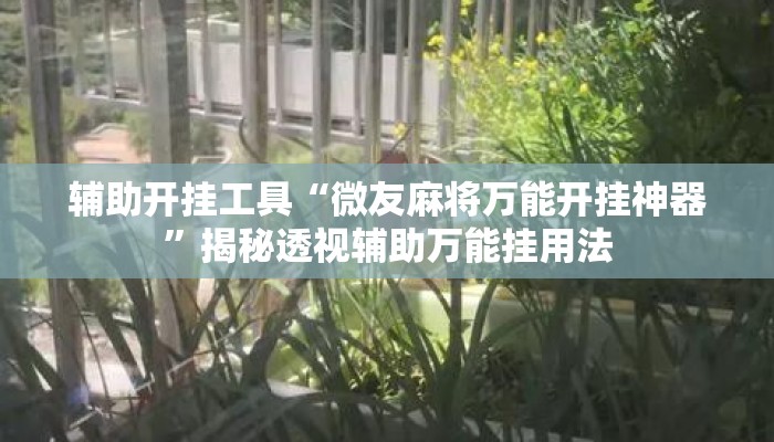 辅助开挂工具“微友麻将万能开挂神器”揭秘透视辅助万能挂用法
