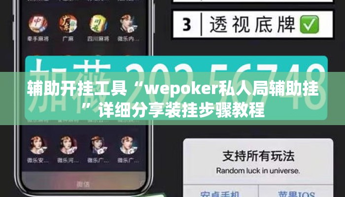 辅助开挂工具“wepoker私人局辅助挂	”详细分享装挂步骤教程