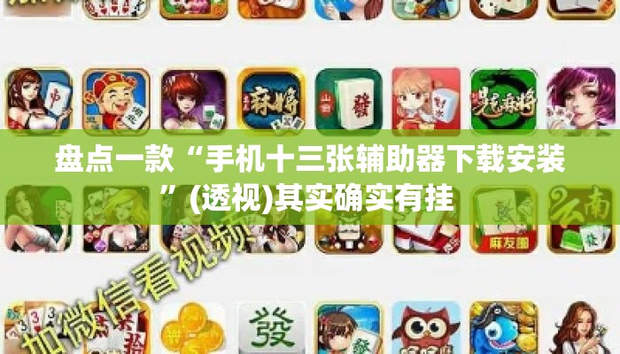 盘点一款“手机十三张辅助器下载安装	”(透视)其实确实有挂 