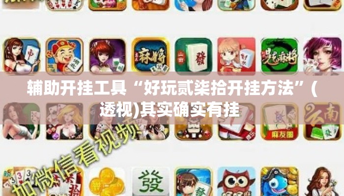 辅助开挂工具“好玩贰柒拾开挂方法”(透视)其实确实有挂 