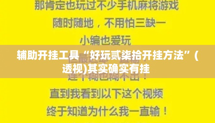 辅助开挂工具“好玩贰柒拾开挂方法”(透视)其实确实有挂 