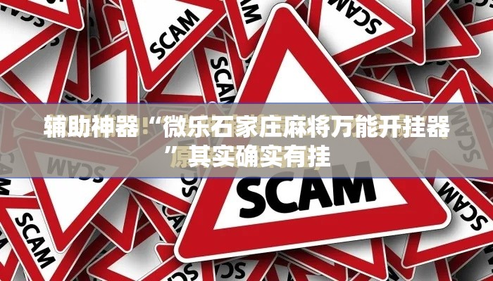 辅助神器“微乐石家庄麻将万能开挂器”其实确实有挂