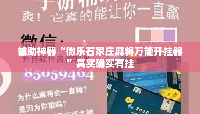 辅助神器“微乐石家庄麻将万能开挂器”其实确实有挂