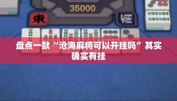 盘点一款“沧海麻将可以开挂吗”其实确实有挂