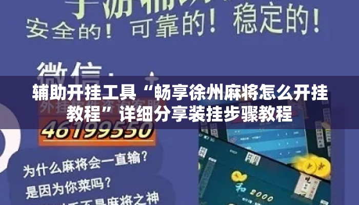 辅助开挂工具“畅享徐州麻将怎么开挂教程”详细分享装挂步骤教程