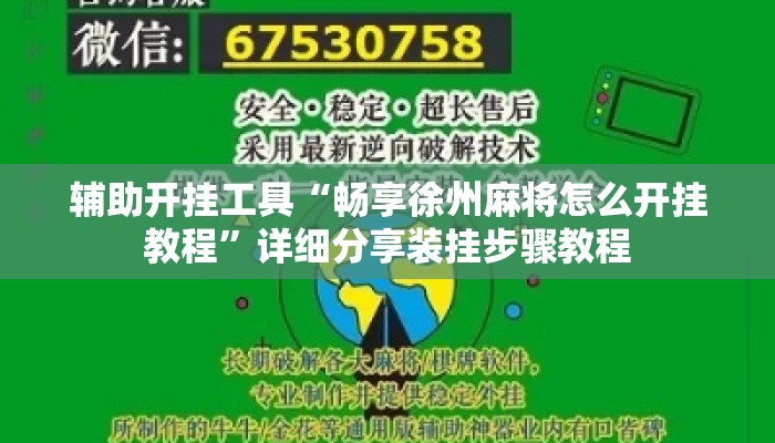 辅助开挂工具“畅享徐州麻将怎么开挂教程	”详细分享装挂步骤教程