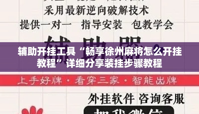 辅助开挂工具“畅享徐州麻将怎么开挂教程”详细分享装挂步骤教程