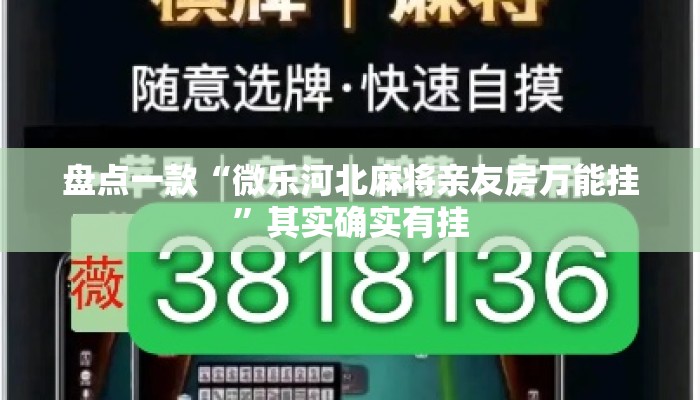 盘点一款“微乐河北麻将亲友房万能挂”其实确实有挂