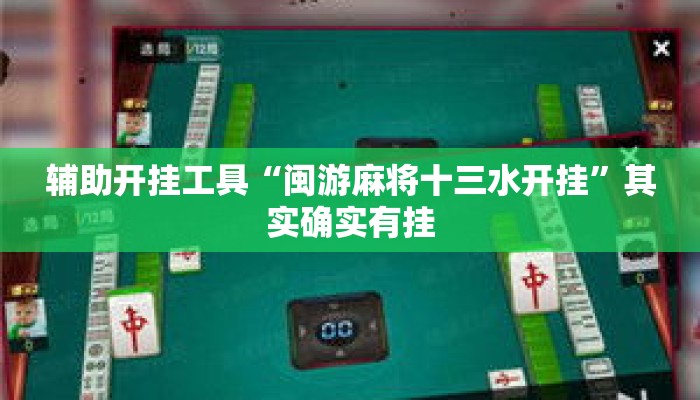 辅助开挂工具“闽游麻将十三水开挂”其实确实有挂