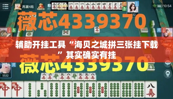 辅助开挂工具“海贝之城拼三张挂下载”其实确实有挂