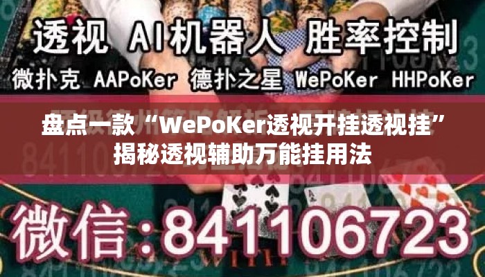 盘点一款“WePoKer透视开挂透视挂”揭秘透视辅助万能挂用法