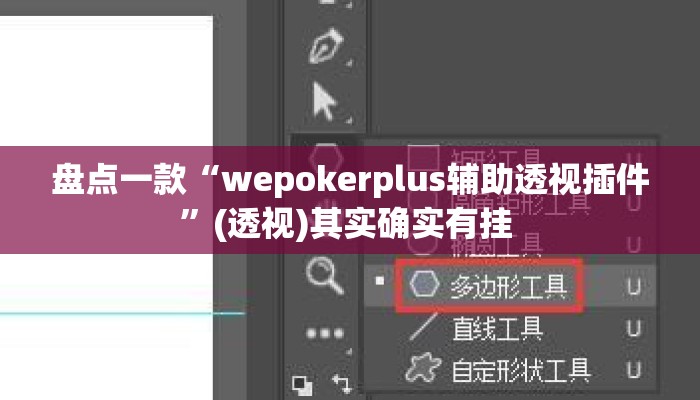 盘点一款“wepokerplus辅助透视插件	”(透视)其实确实有挂 