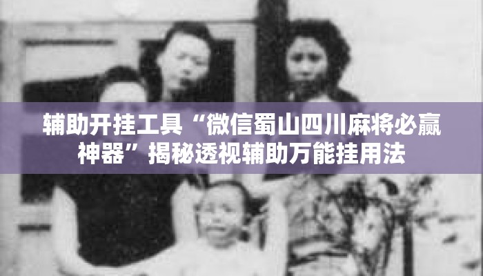 辅助开挂工具“微信蜀山四川麻将必赢神器	”揭秘透视辅助万能挂用法