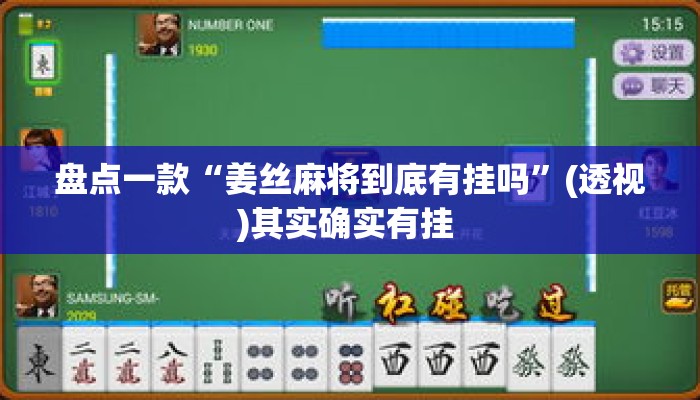 辅助神器“东阳四副牌开挂教程”其实确实有挂