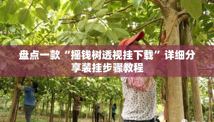 盘点一款“摇钱树透视挂下载	”详细分享装挂步骤教程