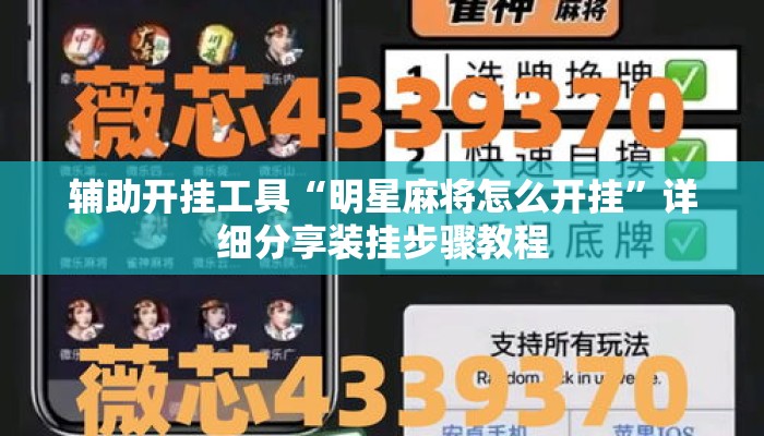 辅助开挂工具“明星麻将怎么开挂”详细分享装挂步骤教程