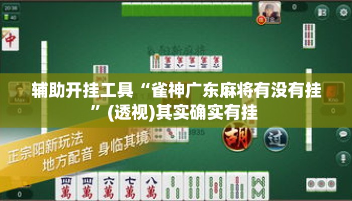 辅助开挂工具“雀神广东麻将有没有挂	”(透视)其实确实有挂 