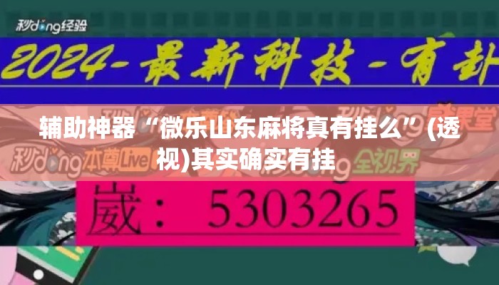 辅助神器“微乐山东麻将真有挂么”(透视)其实确实有挂 