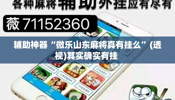 辅助神器“微乐山东麻将真有挂么	”(透视)其实确实有挂 