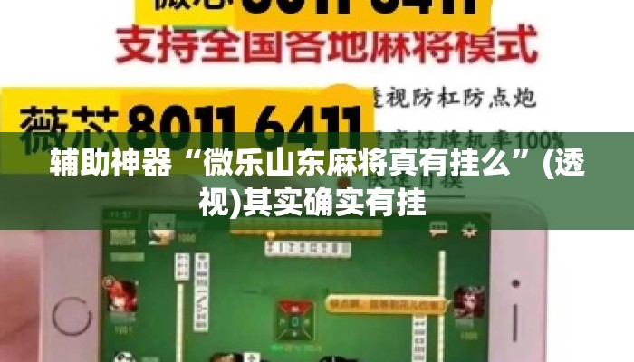 辅助神器“微乐山东麻将真有挂么”(透视)其实确实有挂 